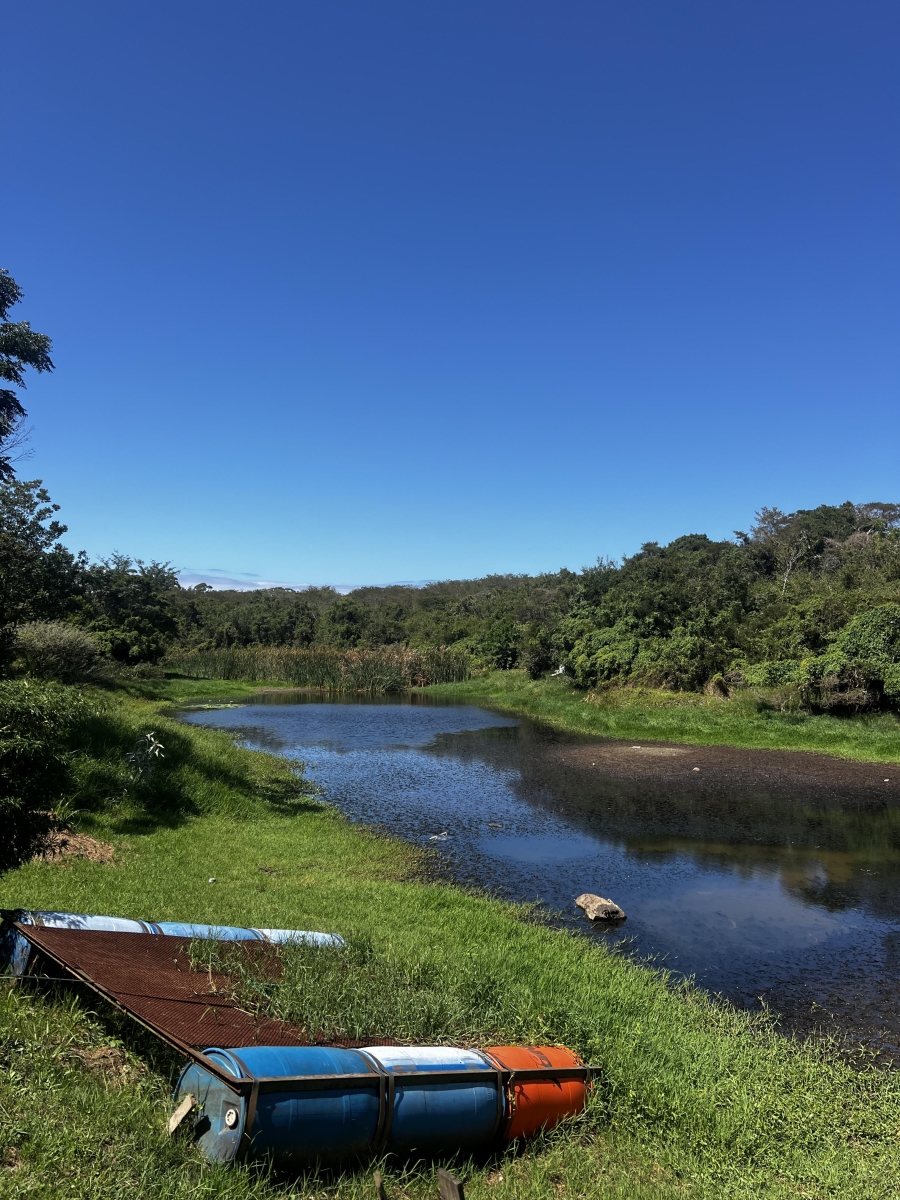 4 Bedroom Property for Sale in Meisies Halt Eastern Cape